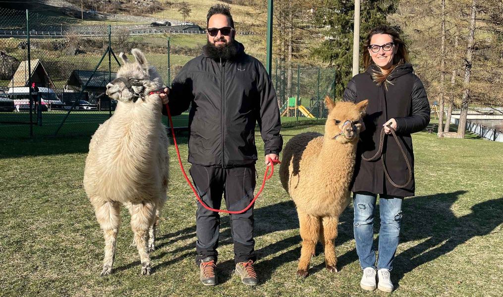 Attività con alpaca e lama a Valdidentro | Nira Mountain Resort