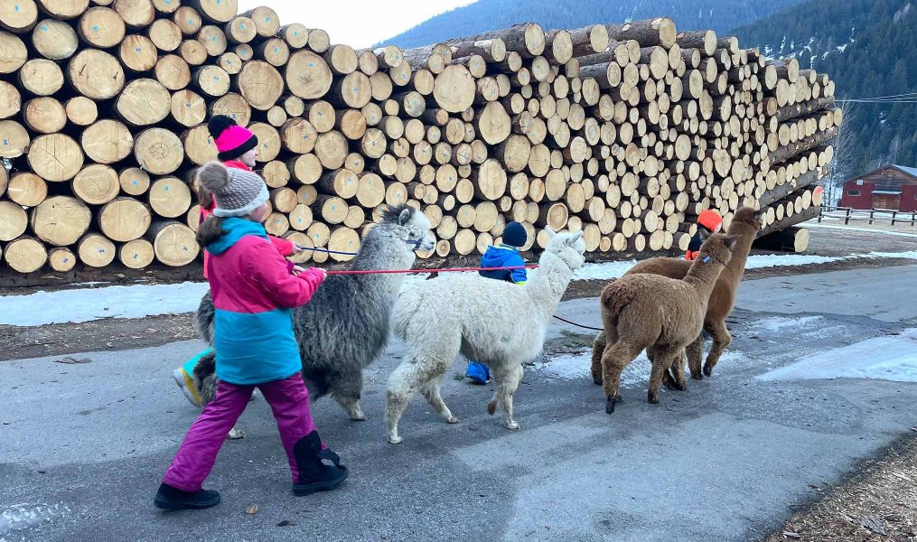 Primavera in Valtellina